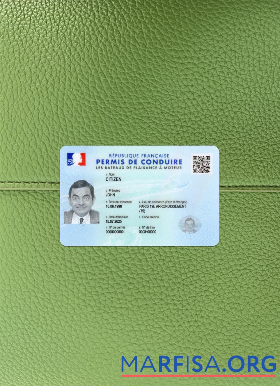 Downloadable France driving license 2025 present photolook sample